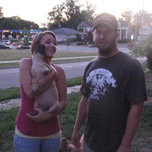 Boerbol puppy